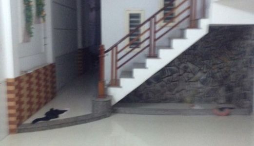 Bán Nhà 1 Trệt 3 Lầu Ngang Trên 4m Khu Dân Cư Hưng Phú 2 , Giá Dưới 3 Tỷ