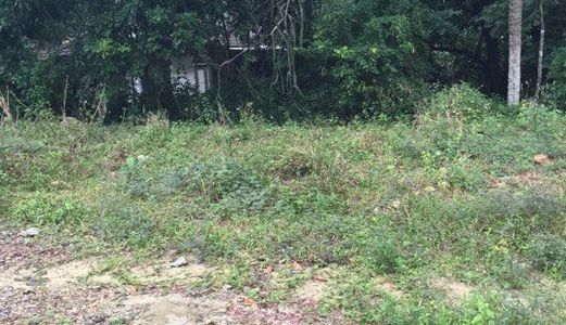 Đất 2 Mặt Tiền Đường Ô Tô Phường Đúc Thành Phố Huế 