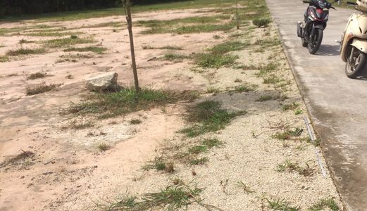 Cần Bán Đất Tân Thành, Vũng Tàu, 220Tr, Shr, Đã Có Thổ Cư, Lh 0933 818 741