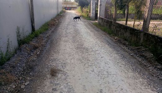 Đất Xây Xưởng 20X50M Đường Đức Hòa Thượng. Giá 1 Tỷ 7