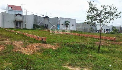 Mình Cần Tiền Chữa Bệnh Cho Mẹ Già Ở Quê Nên Bán Gấp Lô Đất Ngay Kcn