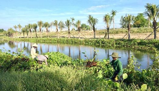 Cơ Hội Đầu Tư Đất Biệt Thự Fpt City - Cơ Hội Cuối Năm - Sinh Lời Đầu Năm