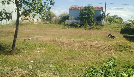  Cần Tiền Kinh Doanh Tết Sang Gấp Lô Đất 300M2 Mặt Tiền Đại Lộ Bình Dương Giá Rẻ