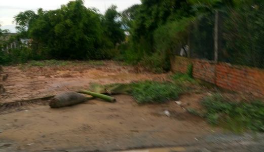 Đất Thổ Mặt Tiền Nhựa Đường 830- Đức Hòa. Dt 5X20M. Giá 500Tr