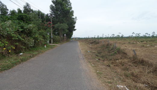 Bán Đất Mẫu Làm Dự Án