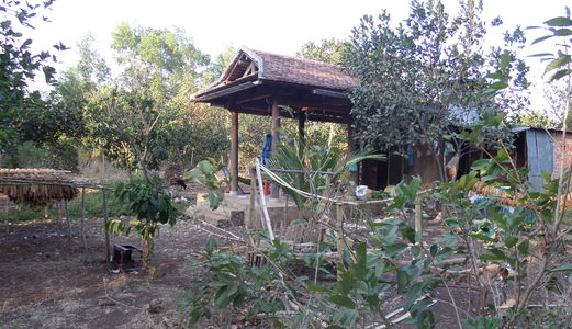 Đất Chính Chủ Cần Bán