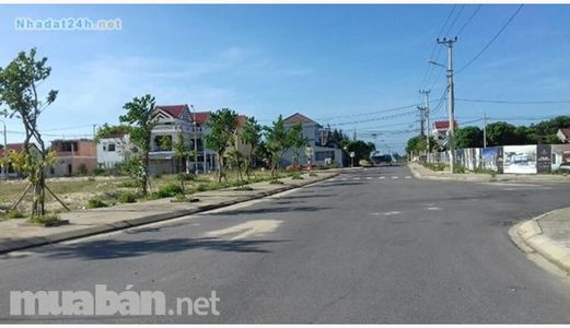 Bán Đất Trà Quế Hội An Giá Rẻ