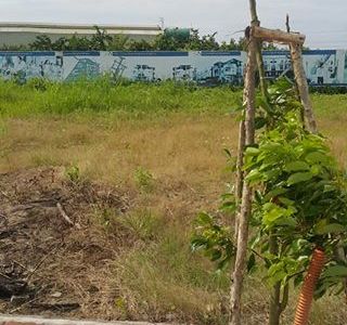 Bán Đất Biệt Thự Có Mặt Tiền Sông Trục Chính Đường Trần Văn Giàu