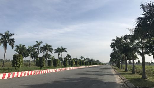  Bán Đất Dự Án 85 Ha, Mặt Tiền Đường Quốc Lộ 50, Thuộc Trung Tâm Thị Trấn Cần Đước .lh 01695 120363