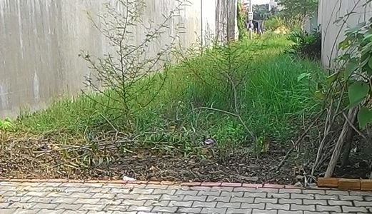 Đất Mặt Tiền 14M, Shr, 100M2, Mặt Tiền Trần Đại Nghĩa