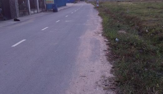 Đất Chánh Phú Hòa, Bến Cát, Bình Dương