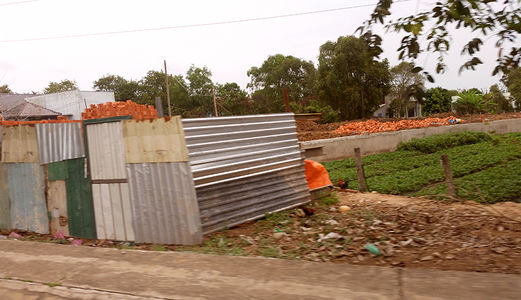 Kẹt Tiền Bán Gấp 3000m2 Đất Đường 835b Giá Chỉ 900k/m2