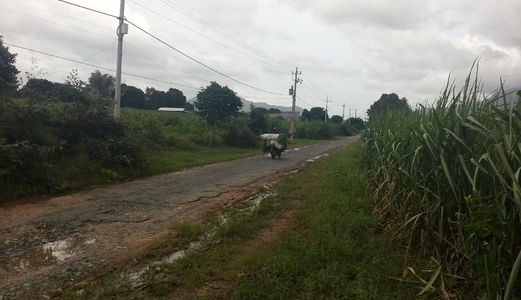 Chính Chủ, Lô Đất Mặt Tiền 46 Mét Sát Cam Ranh,rộng 8000 M2,cách Cao Tốc Bắc-Nam 500 Mét, Có Sổ Đỏ.