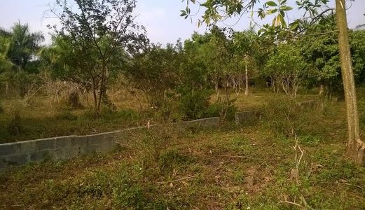 Đất Tại Đường 21, Hòa Sơn, Lương Sơn, Hòa Bình