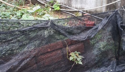 Cần Tiền Bán Nhà Thôn Lở, Đặng Xá, Gl, Hn. Dt 80M2 Mt 4.2M