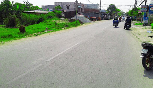 Cần Bán 730m2 Thổ Cư Mặt Tiền Quốc Lộ 50 Chỉ 12 Triệu/m2