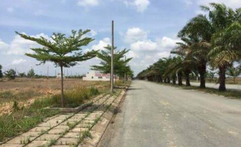 Đất Nền Chính Chủ Có Vị Trí Đẹp Shr