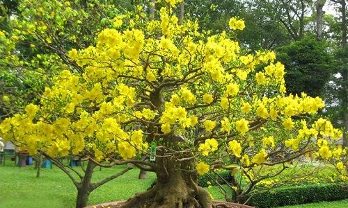 Nhà Đẹp Phố Khâm Thiên, Giá Sốc 1.95 Tỷ!!!