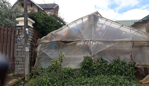 Bán Đất Đường Hoàng Hoa Thám, Phường 10, Đà Lạt 1300M 6,5 Tỷ Đ1773