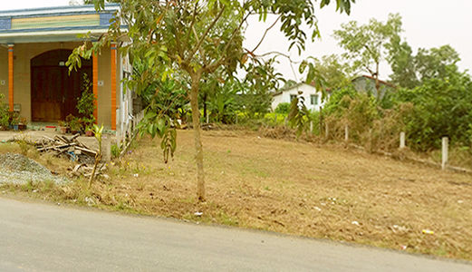  Bán 500M2 Đất Thổ Cư Đường 835A Long An, Giá Bèo 2.4 Tr/m2