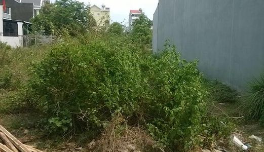 Bán Ngay Đất Thị Trấn Trâu Quỳ, Gia Lâm Diện Tích 64,2M2 Mặt Tiền 4M Đường 12M.