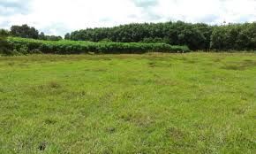 Bán Đất Xd Đường Cao Thắng, Phường 7, Đà Lạt Giá 2,5 Tỷ