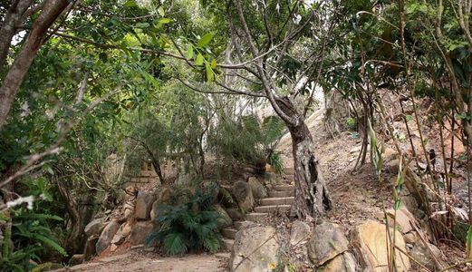 Bán Đất Đường Hoàng Hoa Thám, Phường 10, Đà Lạt - 4302,47M2 - 18 Tỷ Đ1401