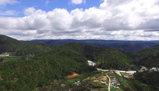 Bán Đất Đường Hoàng Hoa Thám, Phường 10, Đà Lạt - 4302,47M2 - 18 Tỷ Đ1401