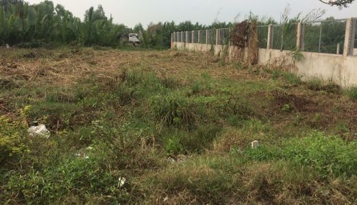 Chuyển Nhượng 1.800M2, Shr, Giá 6,3 Tỷ Đất Cây Lâu Năm (Có Thể Lên Thổ), Hẻm Nguyễn Văn Tạo