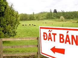 Bán Đất Xd Kqh Hàn Thuyên, Phường 5, Đà Lạt Giá 5,5 Tỷ