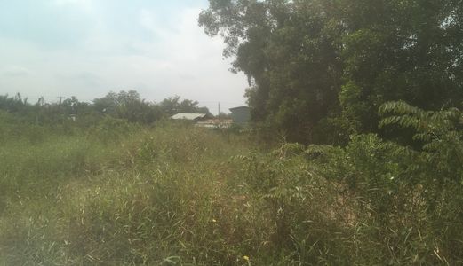 1,4Tỷ/1000M2 Đường Liên Doanh,  Đa Phước, Quốc Lộ 50, Bình Chánh