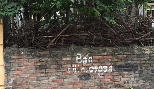 Bán Đất 3 Mặt Ngõ Cầu Giấy, 42M2, Mt 4,1M, 4,2 Tỷ, Cách Phố 45M, Kd Tốt