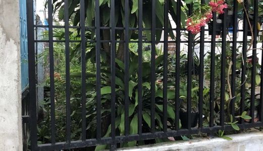 Bán Nền Hẻm Lộ Ngân Hàng, Đường Nguyễn Văn Cừ