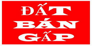 Bán Đất Xd Đường Phù Đổng Thiên Vương, Phường 8, Đà Lạt Giá 2,95 Tỷ