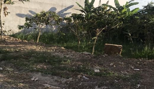 Bán Nền Đường B30 Khu Dân Cư Hưng Phú 1. Hưng Phú, Cái Răng