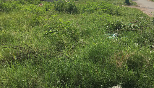 Tôi Cần Bán Lại Nền Đất Ngay Nguyễn Thị Thử - Hóc Môn, Mặt Tiền, Dt: 