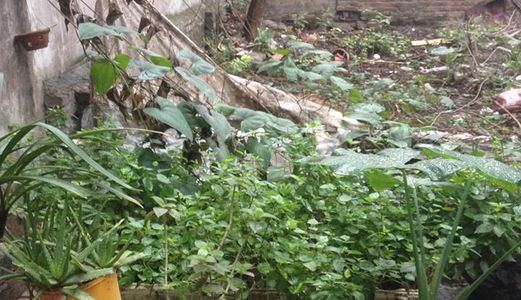 Bán Đất Xuân Đỉnh, 70M2, Mt 4.5M, Ngõ Ô Tô Vào, Cách Phố 40M, Kd Tốt, 4.1 Tỷ