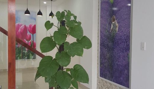Chính Chủ Bán Nhà 3 Tầng Mới Đẹp .kiệt Nguyễn Hoàng.