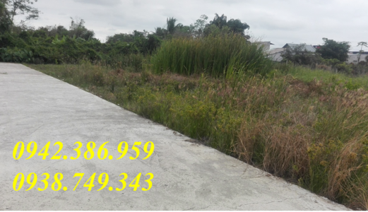 Lô Góc 3Mt Đinh Đức Thiện,99,9M2, Shr Thổ Cư ,xdtd