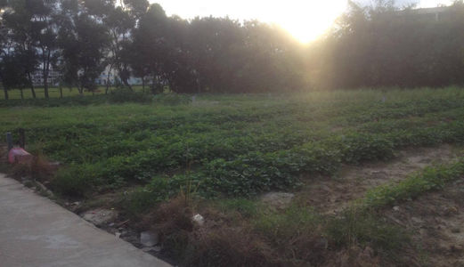 Bán Đất Kiệt 4M Nguyễn Lộ Trạch Sau Lưng Vicoland, Huế