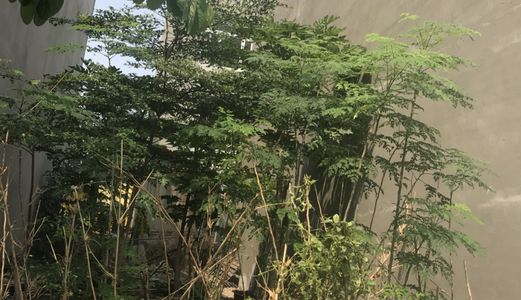 Cần Vốn Bán Nhanh Đất Nền Khu Công Ích. Dt 5X16M. Hướng Đông. Giá 5.2 Tỷ 