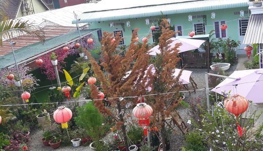 Bán Biệt Thự Sân Vườn Đường Tô Hiệu, Phường 7, Đà Lạt 422M 9 Tỷ B1904