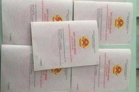 Bán Đất Cột 3 Giá Rẻ- Hạ Long