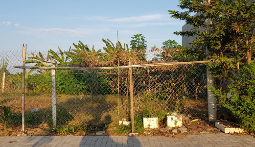 128M2 Thổ Cư Tân Liêm , Phong Phú , Bình Chánh ,Ngang 6.5M .Sổ Hồng Riêng ,Giá 2 Tỷ