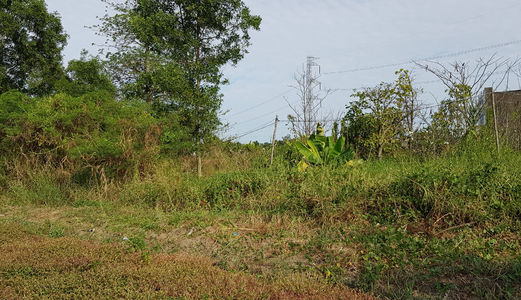 375M2 Thổ Cư Ngang 11M,đường 5M ,ngay Trường Tiểu Học Phong Phú ,ql50 ,shr  •	