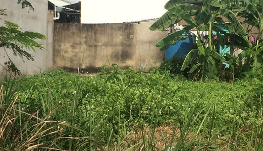 Giá Ưu Đãi, Bán Rẻ Đất Mặt Tiền Huỳnh Tấn Phát 321M2=3,3Tỷ. Lh:  Vi   0931.092.471