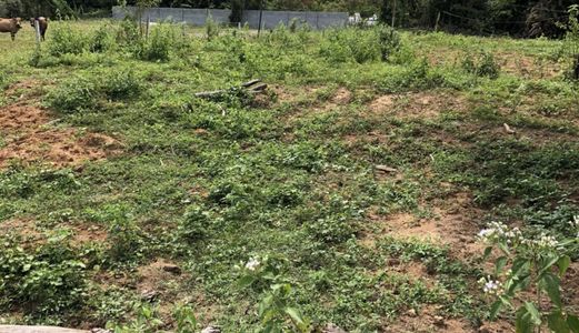 Cần Tiền Bán Đất 500M2 Tại Phú Quốc Giá Tốt Nhất Mọi Khu Vực 