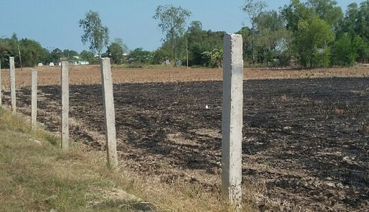 !!! Bán Gấp Đất Mặt Tiền Trần Đại Nghĩa Giá Chỉ 2.9 Tỷ