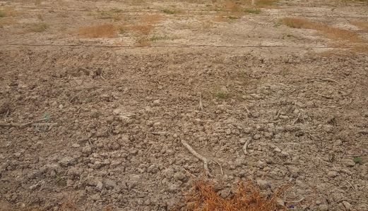 Hothot, Đất 512M2, Đất Có Thổ Cư 308M2, Bình Chánh, Giá 2,6 Tỷ