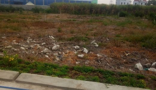 Hothot, Đất 512M2, Đất Có Thổ Cư 308M2, Bình Chánh, Giá 2,6 Tỷ